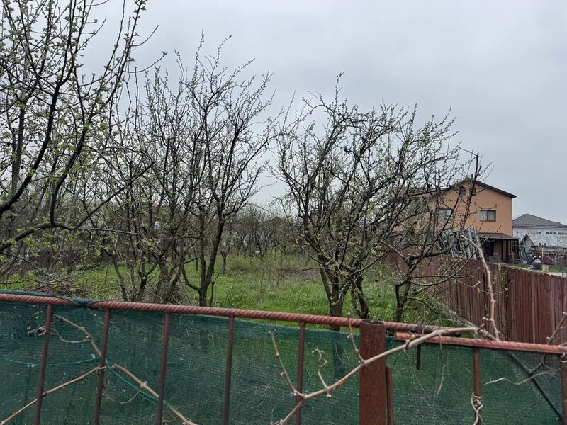 Cornetu Teren 1000 mp Rasaritului 2B , 15 Km Piata Unirii, 1 Km A0